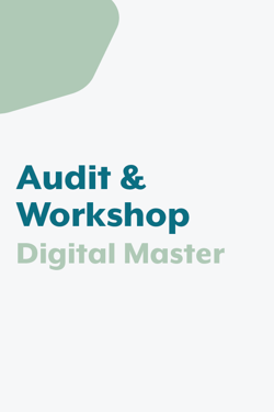 Audit Digital Master