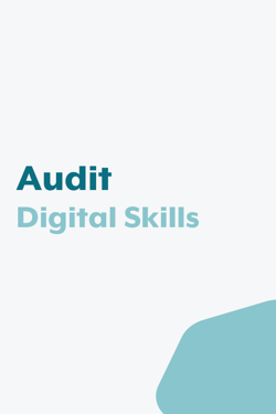 Audit Digital Skills