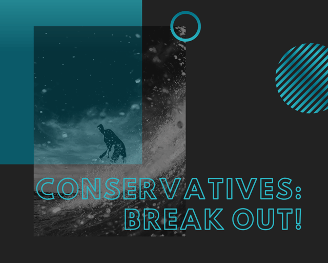 Being a conservative is a type of business that is strong on leadership, but weaker on digital capacities.