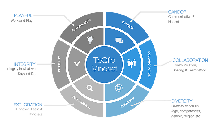 Model Of TeQflo Mindset