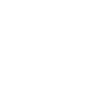 White TeQflo IT partner logo