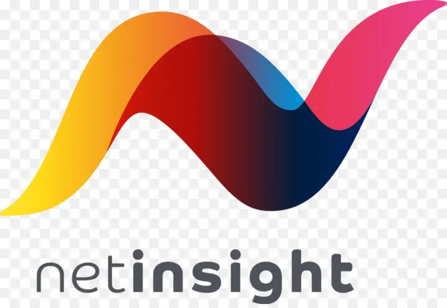 Netinsight logo