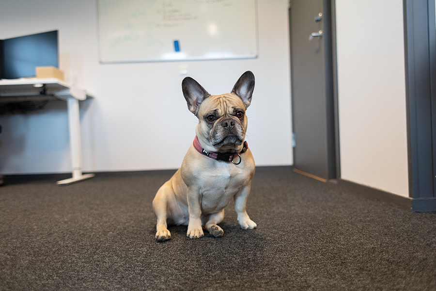 Dive into the changes of HubSpot 2024 pricing updates